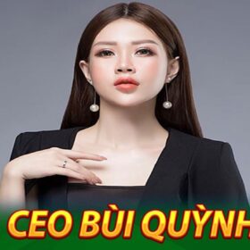 Những thông tin cơ bản về CEO Bùi Quỳnh Anh